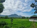 ขายที่ดิน48ไร่ 47.5ล.นาวิวเขา ติดน้ำ ต.ออนกลาง อ.แม่ออน เชียงใหม่