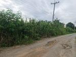 รวมที่ดินดีงามเพื่อคุณ ขายที่ปากช่อง 2-8ไร่ โฉนด ต.วังไทร ไร่ละ 2