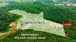 ขายที่ดินติดถนน 109 ไร่  เจ้าของขายเอง  จังหวัดสระบุรี