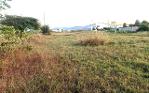 ขายที่ดิน189ว.700,000บ. ถ.หมู่บ้านครู-บ้านธิ มะเขือแจ้ เมืองลำพูน
