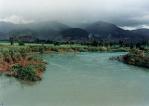 ขายที่ดิน383ไร่ 200ล.ถ.ชราย-ชของ ต.ต้า อ.ขุนตาล เชียงราย