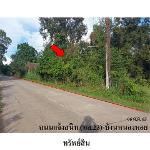 ขายที่ดินว่างเปล่า ต.เขื่องคำ อ.เมืองยโสธร จ.ยโสธร