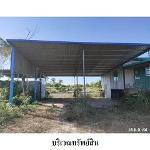 ขายบ้านเดี่ยว ถ.ห้วยเม็ก-ท่าคนโท ต.ลำหนองแสน อ.หนองกุงศรี จ.กาฬสิ