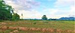 ขายที่ดิน 365ว. 700,000บ. วิวเขา หลังที่ว่าการอำเภอบ้านธิ ลำพูน