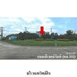 ขายที่ดินว่างเปล่า ต.โพนทอง อ.เมืองชัยภูมิ จังหวัดชัยภูมิ