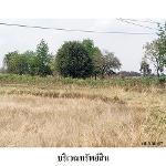 ขายที่ดินว่างเปล่า ต.กฤษณา อ.สีคิ้ว จ.นครราชสีมา