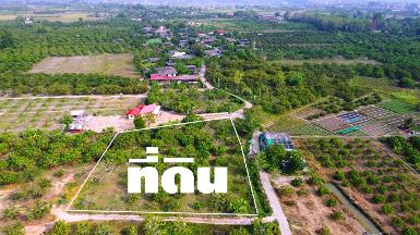 ขายที่ดินแบ่งเริ่ม 200ว. 480,000บ. ต.ทุ่งปี้ อ.แม่วาง เชียงใหม่