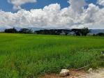 ขายที่ดิน ติดถนน  4ไร่ 14 ตร.วา