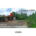 ขายบ้านเดี่ยวโครงการ แทมมารีน ริเวอร์ไซด์ ต.มะขามเตี้ย จ.สุราษฎร์