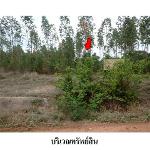 ขายที่ดินว่างเปล่า ถ.สายบ้านยางบ่า-โคกสูง ต.โคกสูง อ.เมือง จ.ชัยภ