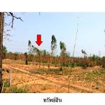 ขายที่ดินว่างเปล่า ต.นาฝาย อำเภอ เมืองชัยภูมิ จังหวัด ชัยภูมิ