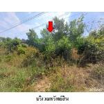 ขายที่ดินว่างเปล่า ถ.สายดอนโมง-นาคู ต.หนองญาติ จ.นครพนม