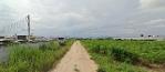 ขายที่ดิน 16 ไร่ มาบยางพร ปลวกแดง ใกล้นิคมอุตสาหกรรมอีสเทิร์นซีบอ