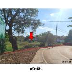 ขายที่ดินว่างเปล่า ต.เซกา อำเภอ เซกา จังหวัด บึงกาฬ