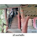 ขายบ้านเดี่ยว ถ.บ้านกระบาก-บ้านดอนลำดวล ต.โนนสูง อ.ยางตลาด จ.กาฬส