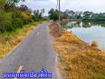 ขายที่สีม่วง อีอีซี 10 ไร่เศษ ใกล้นิคมอมตะ ต.บางนาง อ.พานทอง จ.ชล