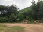 รวมบ้านที่ดินดีงามเพื่อคุณ ที่สวยติดเขา เทือกเขายา ขอนแก่น