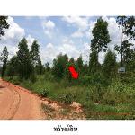ขายที่ดินว่างเปล่า ถ.สายบ้านโป่งคองเหนือ-บ้านเขว้า อ.เมือง จ.ชัยภ