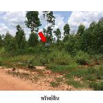 ขายที่ดินว่างเปล่า ถ.สายบ้านโป่งคองเหนือ-บ้านเขว้า อ.เมือง จ.ชัยภ