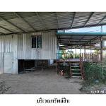 ขายบ้านเดี่ยว ถ.ห้วยเม็ก-ท่าคนโท ต.ลำหนองแสน อ.หนองกุงศรี จ.กาฬสิ