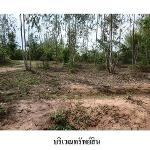 ขายที่ดินว่างเปล่า ต.รอบเมือง อำเภอ เมืองชัยภูมิ จังหวัด ชัยภูมิ