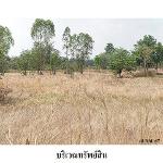 ขายที่ดินว่างเปล่า ต.กฤษณา อ.สีคิ้ว จ.นครราชสีมา