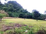 ขายที่ดิน ในสนามกอล์ฟเซอร์เจมส์คันทรีคลับ Forest Hill มวกเหล็ก สร