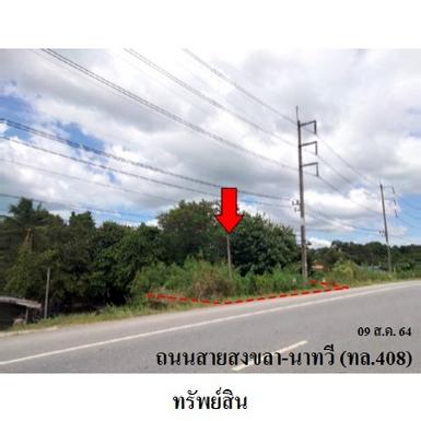 ขายที่ดินว่างเปล่า ถ.สงขลา-นาทวี ต.จะโหนง อ.จะนะ จ.สงขลา