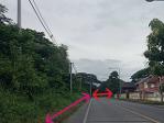ขายที่ดิน 58-3-8ไร่ 324ล. ทำเลธุรกิจ ตรงข้ามสถานีรถไฟ เมืองลำพูน