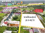 ขายที่ดินเกือบ9ไร่ 20ล. ถูกกว่าประเมิน ต.หนองหนาม เมือง ลำพูน