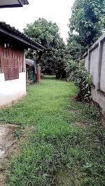 ขายที่ดินบ้านสวน 1.85 ล้าน 323 ตรว. #สารภี บรรยากาศร่มรื่น ติดถนน