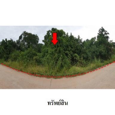 ขายที่ดินว่างเปล่า ต.ดอนชมพู อ.โนนสูงจ.นครราชสีมา