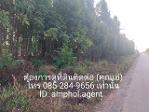 ขายที่ดิน ต.แก่งดินสอ อ.นาดี จ.ปราจีนบุรี  เนื้อที่ 6 ไร่ 61 ตารา