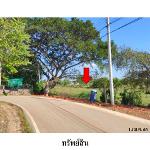 ขายที่ดินว่างเปล่า ต.เซกา อำเภอ เซกา จังหวัด บึงกาฬ