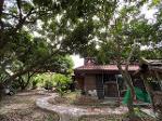 ขายบ้านสวน เกือบ3งาน 2น1น 4.9ล. ต.ขุนคง อ.หางดง เชียงใหม่