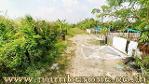 ขายที่ดินถนนรังสิต-นครนายก คลอง 9 ต.ลำผักกูด จ.ปทุมธานี