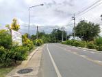 ขายที่ดินศักยภาพสูง ไทรน้อย ที่ดินแปลงใหญ่ 63 ไร่ ติดถนน 2 ด้าน 