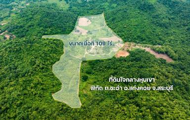 ขายที่ดินเปล่า ติดถนน 109 ไร่ เจ้าของขายเอง จังหวัดสระบุรี