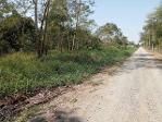 ขายที่ดิน 1 ไร่ 43 ตรว. คลองสิบสอง หนองจอก เหมาะทำบ้านสวน ฟาร์มเก