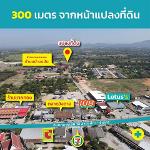 ขายที่ดินเกือบ9ไร่ 20ล. ถูกกว่าประเมิน ต.หนองหนาม เมือง ลำพูน