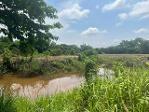 ขายที่ดิน42ไร่ 8ล้าน ต.หนองพันทา อ.โซ่พิศัย บึงกาฬ