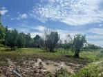 ขายที่ดินพานทองชลบุรี พื้นที่ 1 ไร่