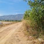 ขายที่ดินผังม่วงบ้านบึงชลบุรี ที่ดินอุตสาหกรรม 31-1-46 ไร่ 