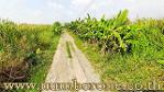 ขายที่ดินถนนรังสิต-นครนายก คลอง 9 ต.ลำผักกูด จ.ปทุมธานี