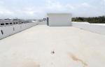 ขายโรงงานใหม่คุณภาพ พร้อมออฟฟิศ 2 ชั้น ใกล้บางนา