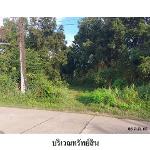ขายที่ดินว่างเปล่า ต.เขื่องคำ อ.เมืองยโสธร จ.ยโสธร