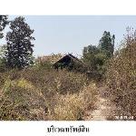 ขายบ้านเดี่ยว ต.บัวขาว อ.กุฉินารายณ์ จ.กาฬสินธุ์