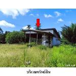 ขายบ้านเดี่ยว ต.โมถ่าย อำเภอ ไชยา จังหวัด สุราษฎร์ธานี