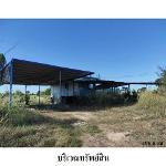 ขายบ้านเดี่ยว ถ.ห้วยเม็ก-ท่าคนโท ต.ลำหนองแสน อ.หนองกุงศรี จ.กาฬสิ