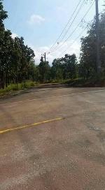 ขายที่ดินลำไย17-3-73ไร่11.7ล. ต.แม่โป่ง ดอยสะเก็ด เชียงใหม่